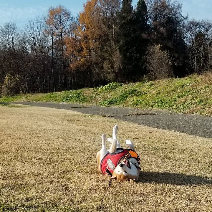 Db85b423 1692 43bd b306 5f89062f2136 1606282456537