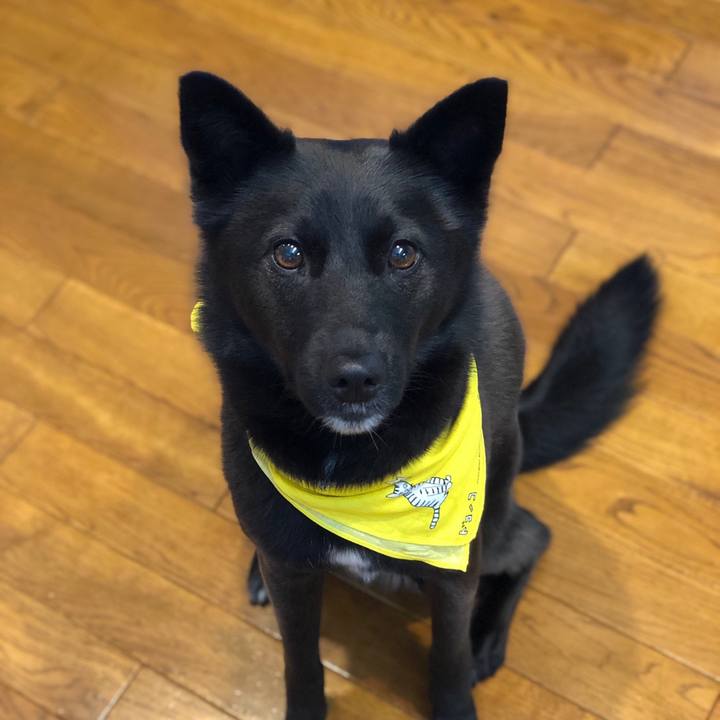 Db85c918 e2c9 4753 a640 238975bf568f 1559778049704