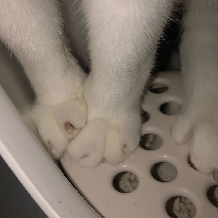 Db8619d4 469f 4586 b2a3 1300e31e1229 1630767380043