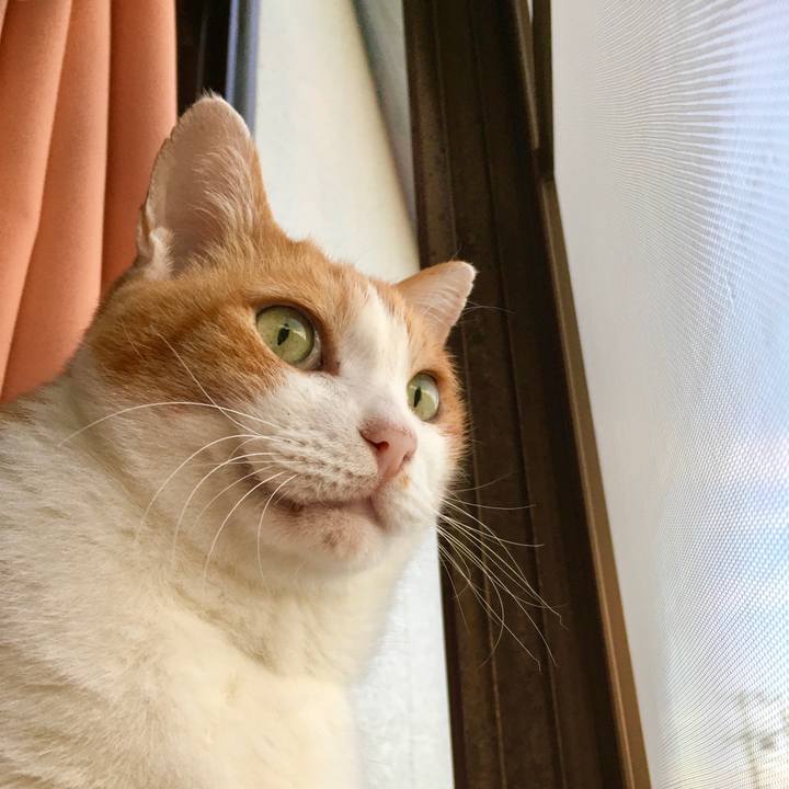 Db861aa4 64b4 44fa 9669 9f4af9a9b827 1571639658439