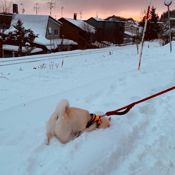 Db8646e4 c56e 49fa 9ddd 3c5d09ffb7a1 1670537967948