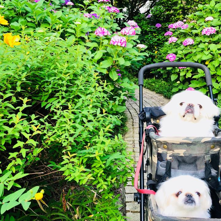 Db865340 bef8 46b5 9511 9e635e5c7587 1591737181666