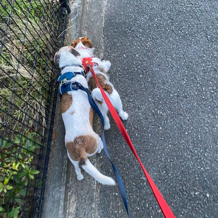 Db865849 b26f 4f03 a328 bb3e0031afe0 1658578815929