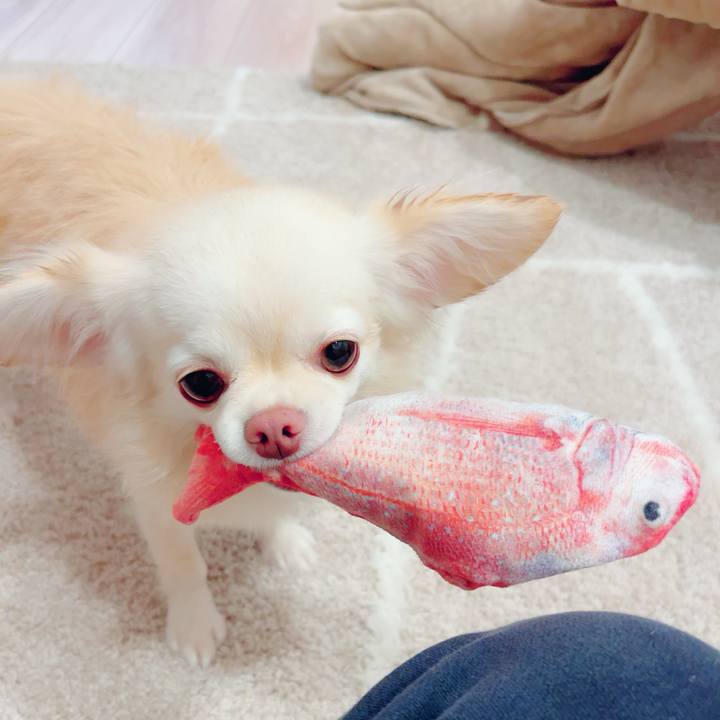 Db865877 bdf3 4e77 9d49 70eb8d2ffd92 1700196276556