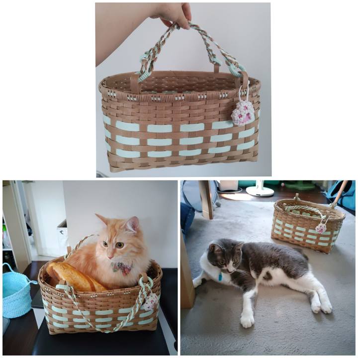 Db86796b 4420 42f8 982a 4f5b8b6bc3cc 1661301413112