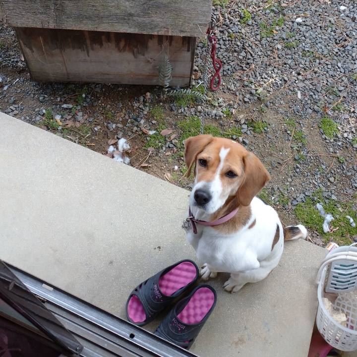 Db869532 edf8 4e3a 85b0 d20cdddacd5b 1578537079752