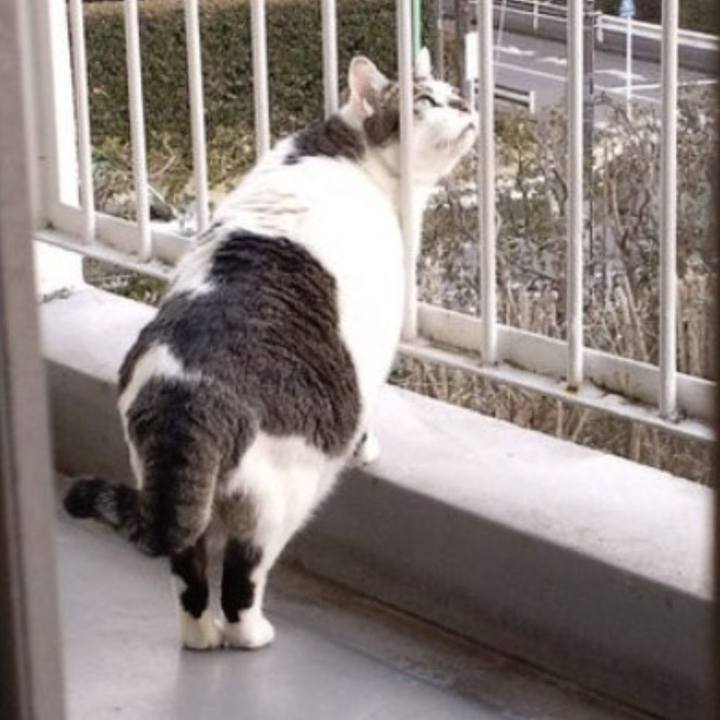 Db869979 e3b9 4f7a bb26 c91bb642683c 1719620035463