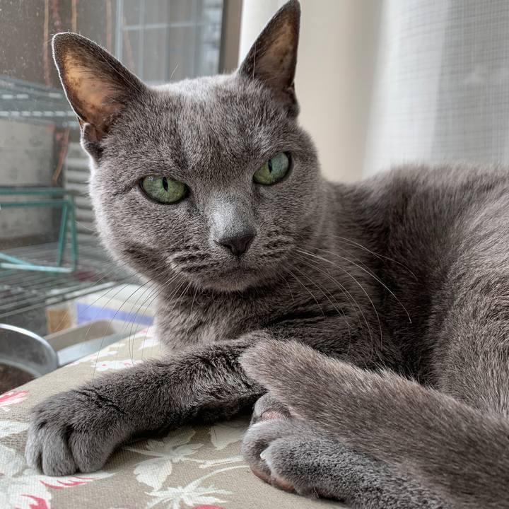 Db86d1f7 ade0 43db aa38 00afebc81131 1584398105932