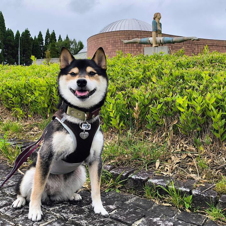 Db86db72 380f 4729 a767 2b022ccd2022 1760190451419