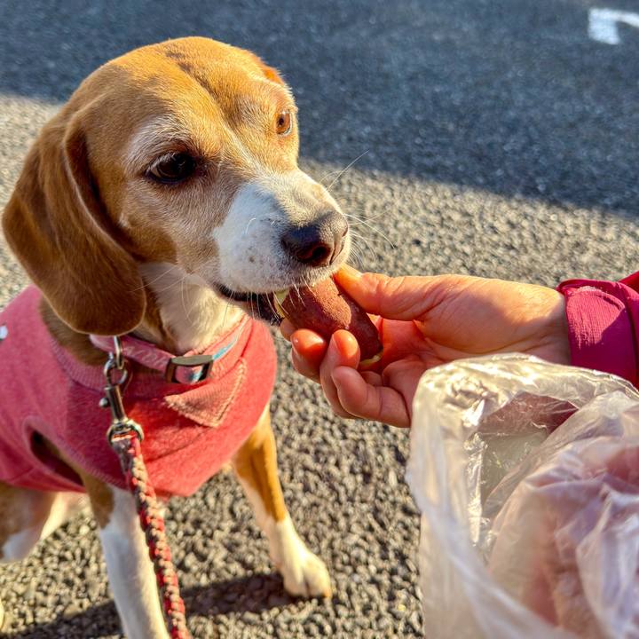 Db86e272 f0a9 494d 867e 94a290cb6b84 1771757712027