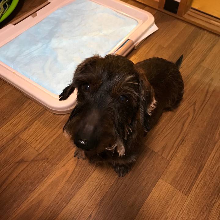 Db8702fa 2955 44cf ae48 738d7c4e060c 1520436233051