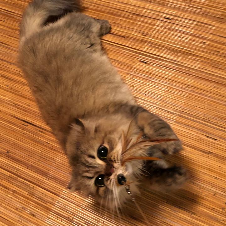 Db870bb4 f4d8 423a 80a1 a051fbff0ca7 1566567809861