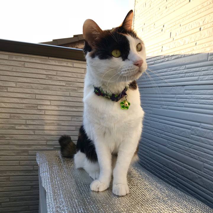 Db870c6c 7d2b 4393 8bc1 2efb5caf069d 1541490998558