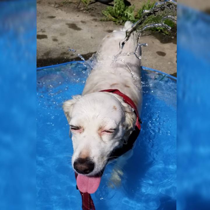 Db871daa b336 4d74 92ac 1af3950bcec3 1530336665772