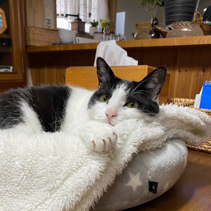 Db872c50 ff92 43a6 b328 764481bffd62 1667861581105