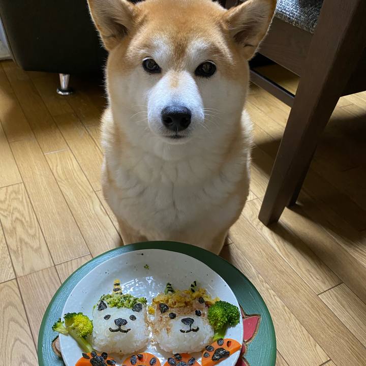 Db874a43 8c6f 4eb2 af81 a8eccc33ea89 1643888674991