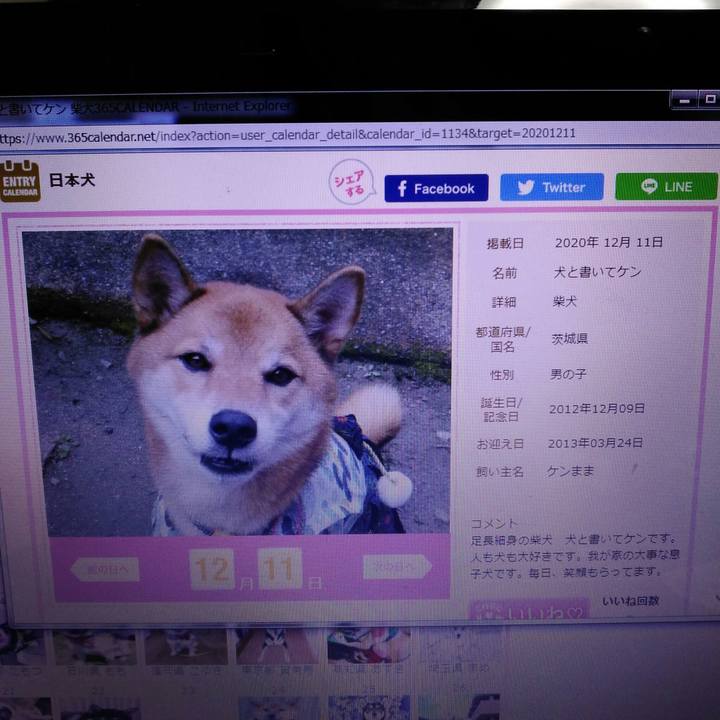 Db876161 228d 4093 bf1b 5673c1b09ffa 1560868075939