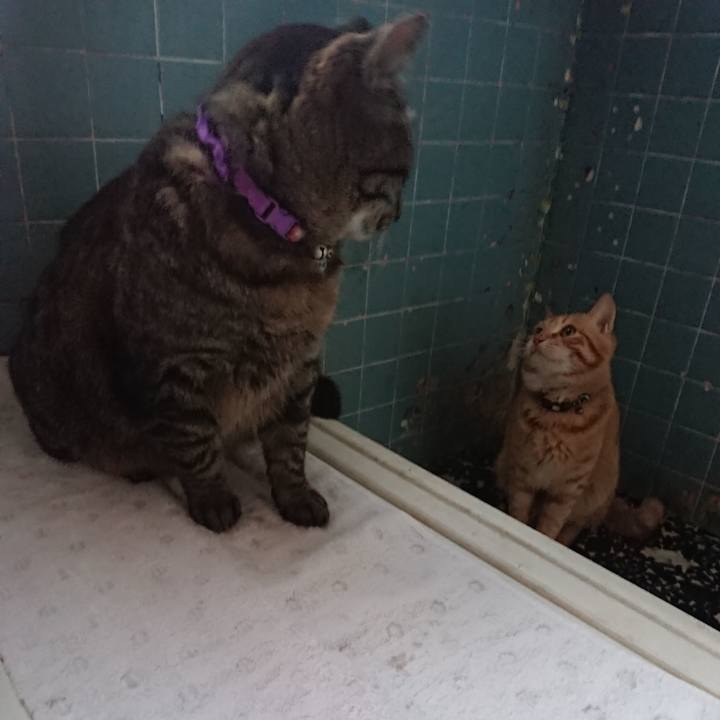 Db8771bf d61e 48f4 9e98 b5be7eead135 1650101671750