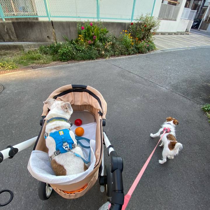 Db877e60 1e11 47c8 b290 d91a5a60236f 1728869270028