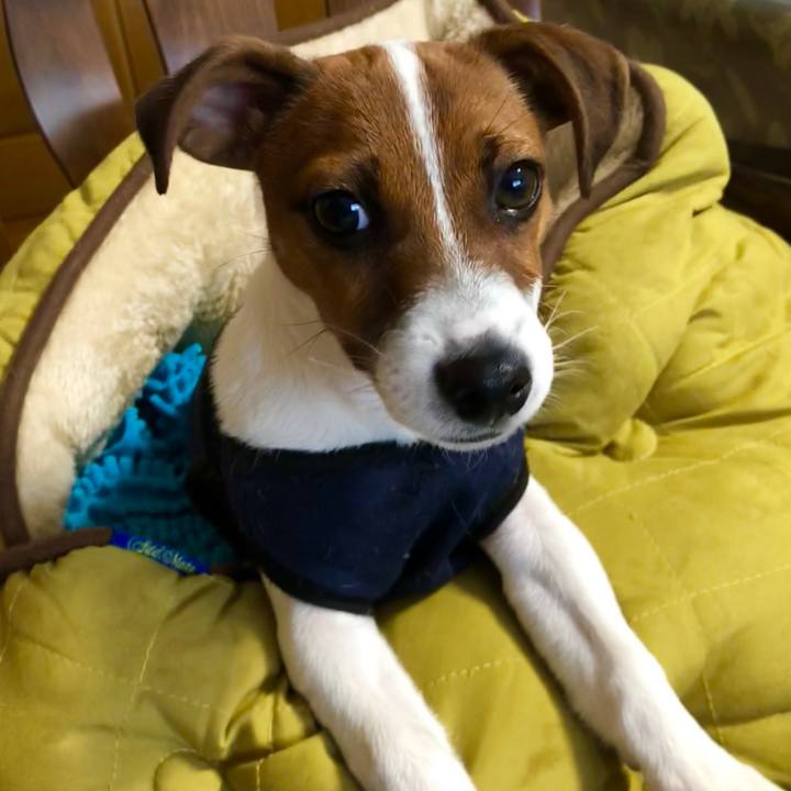 Db87c8f8 fed5 4053 ba48 cb022157a7e0 1517964517749