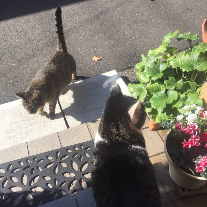 Db87d6ae 8bc2 40ce b60c 969a6bffbe90 1510834815516