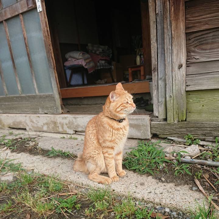 Db883536 8742 4041 baa2 19b380014c94 1655503347335