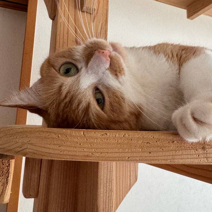 Db8854a0 e66e 4481 b5da fa0d7d67c806 1768879553583