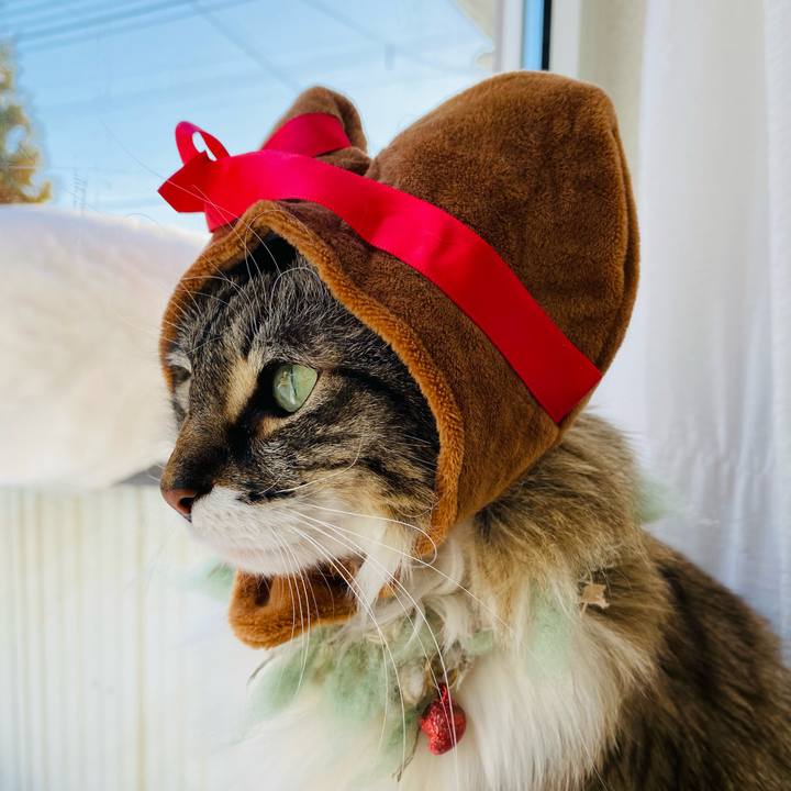 Db8876a9 e5f8 4672 a1e8 13df0b7e08ed 1613309006744