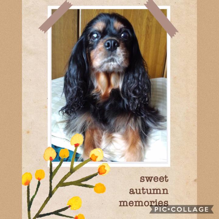 Db888ac3 4019 4d74 bc66 600abf05f484 1568039527345