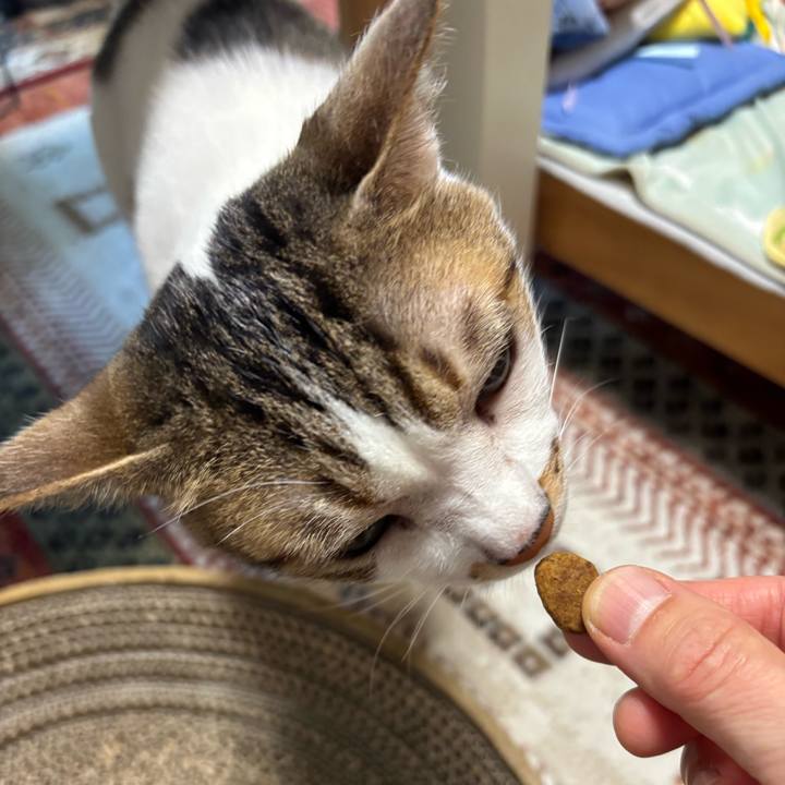 Db88c048 2901 4a6d 920b 597436fedef5 1762241893012