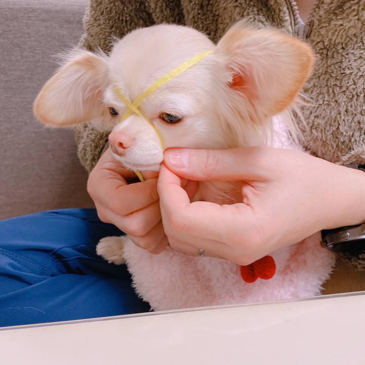 Db892065 e612 49e6 bf6d 5b71b5b43202 1643611579215