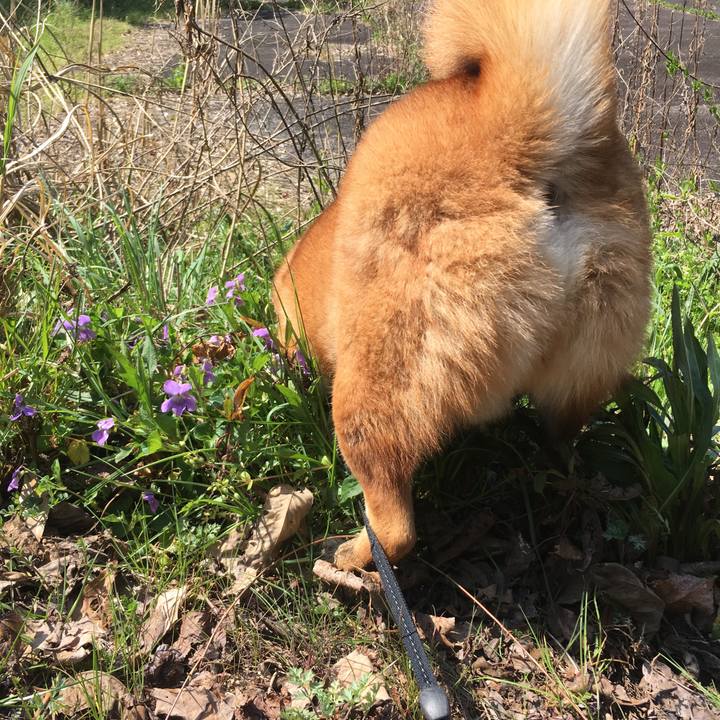 Db892275 dad8 453e 91c4 b9d81cd8a0fa 1586002698810