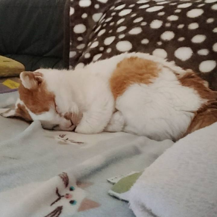 Db893199 5e42 4e01 9318 57ce25ede33e 1600728354353