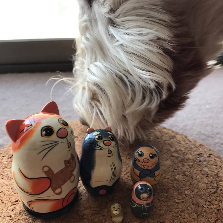 Db893576 3c42 41ff a8bf 8553c6464cdb 1542775644409