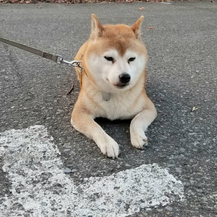 Db893b4c 032c 4e95 ba5b c94a7d565005 1633679944856