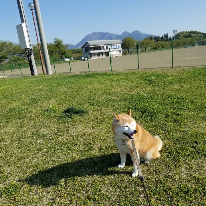 Db89b586 a301 4918 b0ca f4a4b42f2eb0 1682578067764