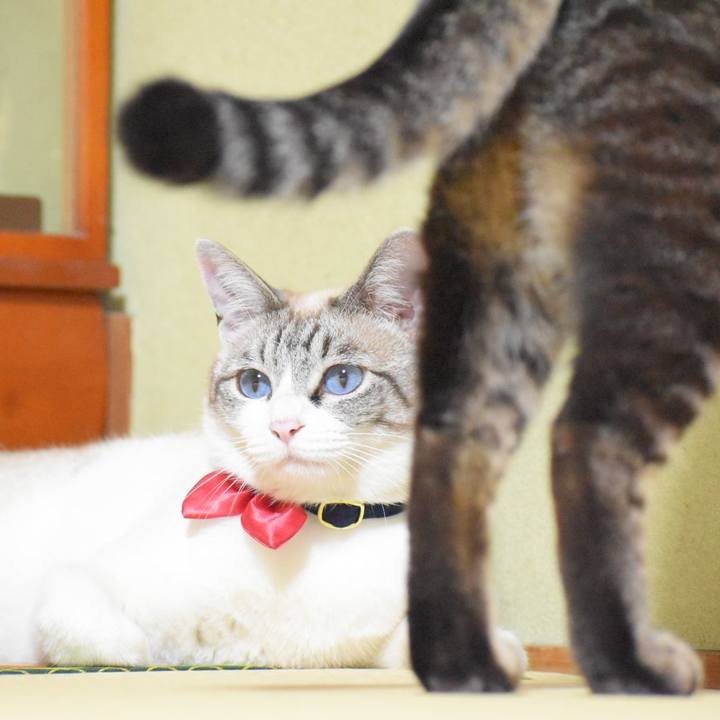 Db8a1ae1 2acb 4bc4 b026 9ab08660a412 1529229952297