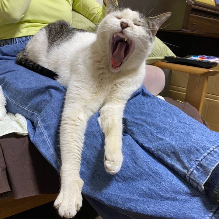 Db8a3073 32d5 4b63 9c61 0fa739fa9f84 1775313733249