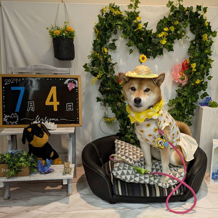 Db8a3bce 2223 4f01 af83 c3108ce64c0a 1720328412563