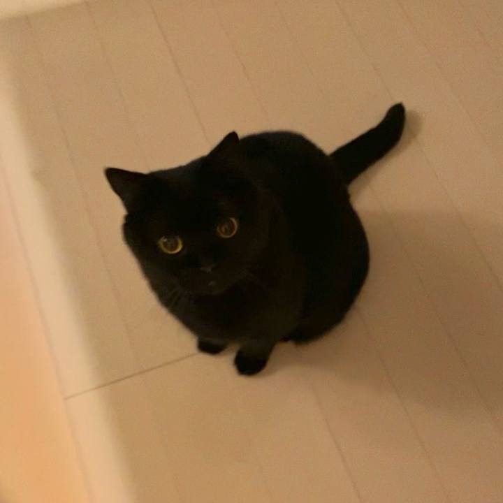 Db8a64bc 661e 4499 9e9d 4c4bb8345764 1671627699472