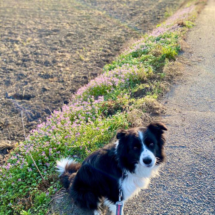 Db8a6c36 278a 4dfb 8175 2635edc2eb98 1605655191155