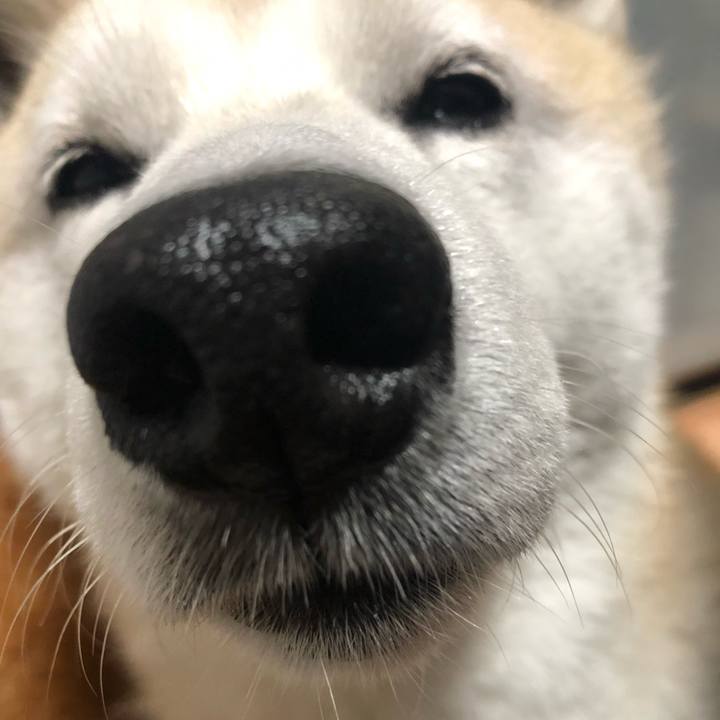 Db8a900a e1e2 4ac0 b4fb e5407bf625f2 1560511425888