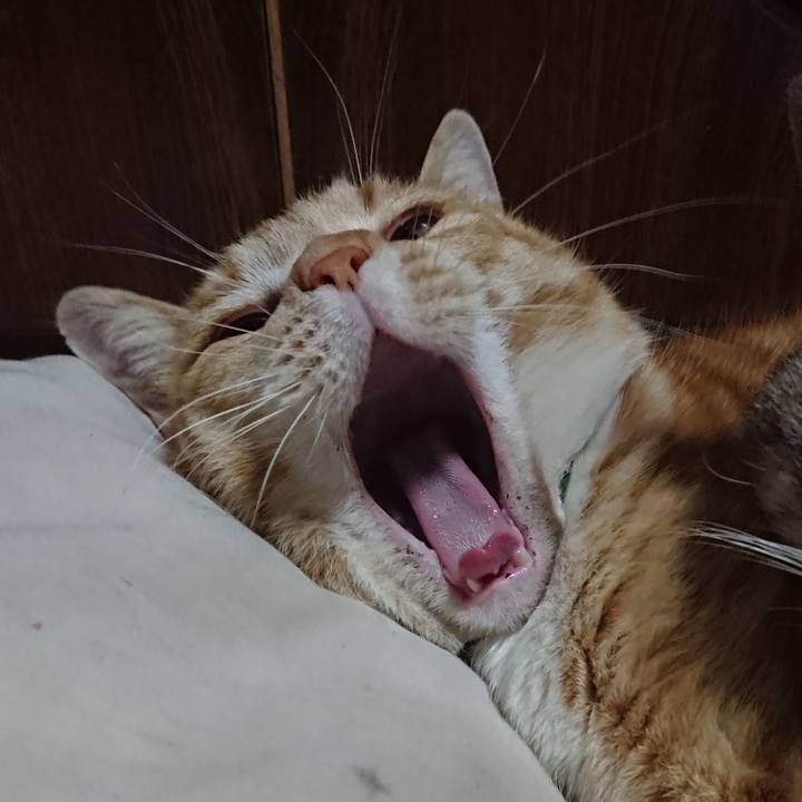 Db8a97fd 43f9 49b7 965c bb3a67a99e57 1584018061863