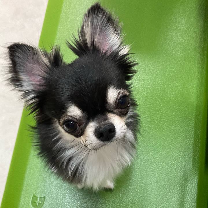 Db8af8e0 dd72 4cbd 9b13 2fb0e8dffcf2 1622381563503