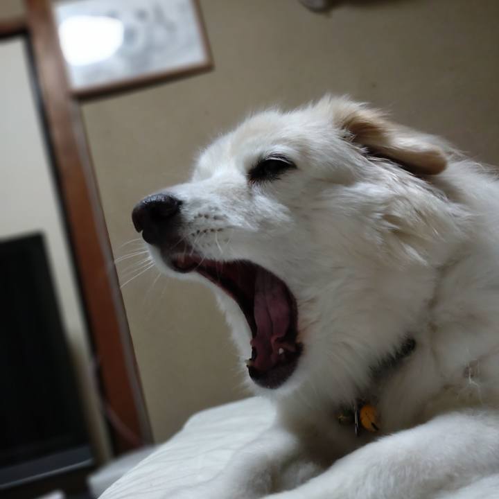 Db8b0576 c861 482a a91b ce3c3faf061f 1652482692770