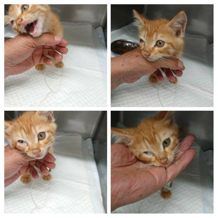 Db8b16ef 344b 4595 9108 925b755a9370 1627552047085