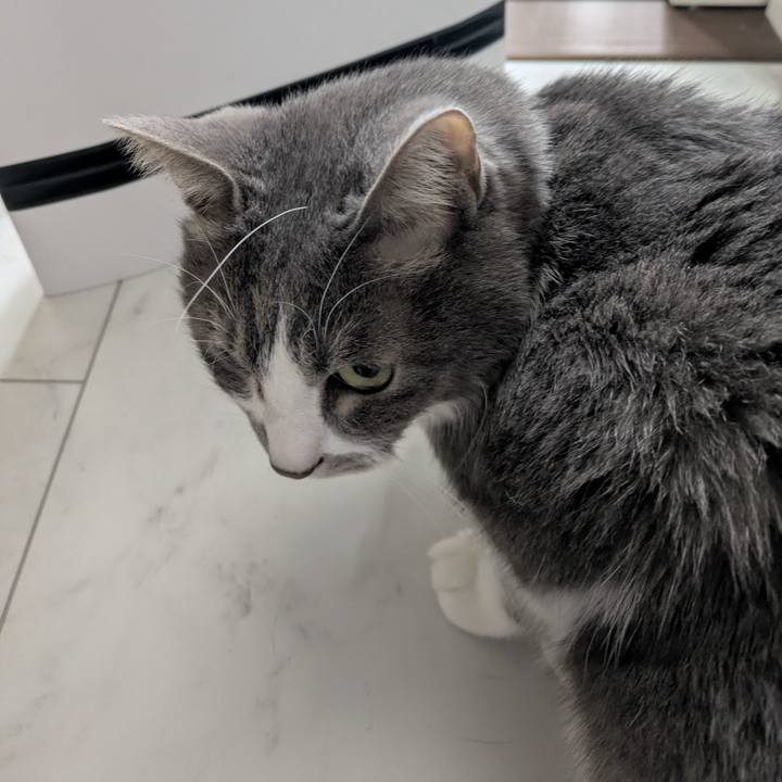 Db8b217b 7cc5 4af0 9166 082fc056f862 1769308049639