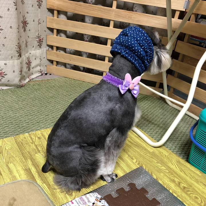 Db8b30b2 4099 4adc 842f a3d754221501 1555415480438