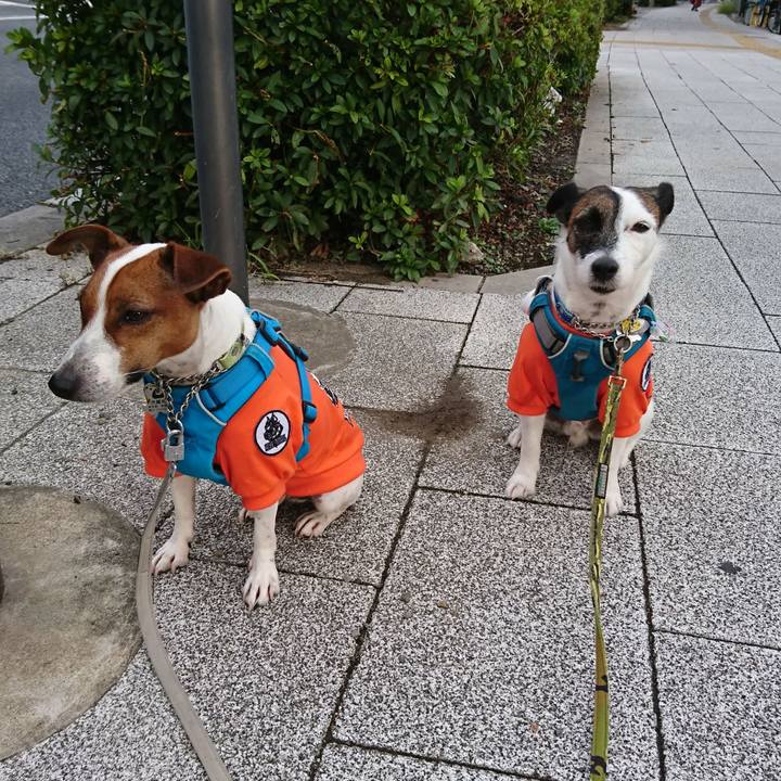 Db8b3127 4e22 430b 8858 87e0d53618d5 1569016327364