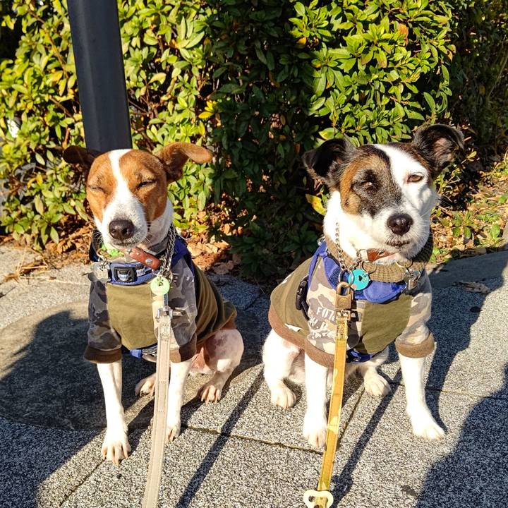 Db8b39ef 18f5 4873 81da b4196ea45925 1638578180970